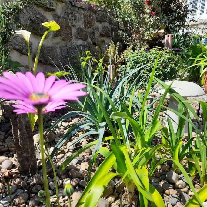 Corvus - Beautiful Cottage Half A Mile From Mousehole Penzance Ngoại thất bức ảnh