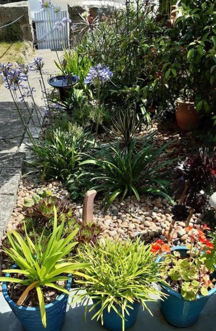 Corvus - Beautiful Cottage Half A Mile From Mousehole Penzance Ngoại thất bức ảnh