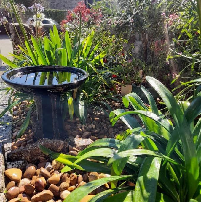 Corvus - Beautiful Cottage Half A Mile From Mousehole Penzance Ngoại thất bức ảnh